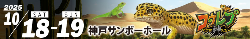 コウレプ告知